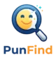 punfind logo